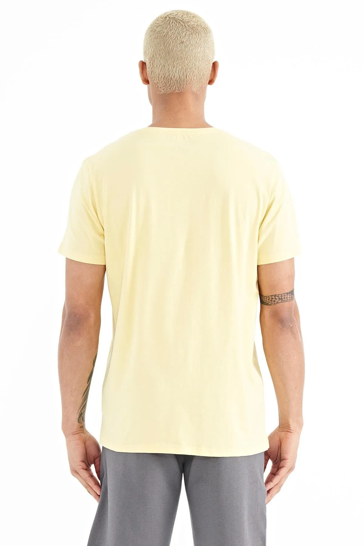 borisstandart kalip erkek t-shirt - 88206