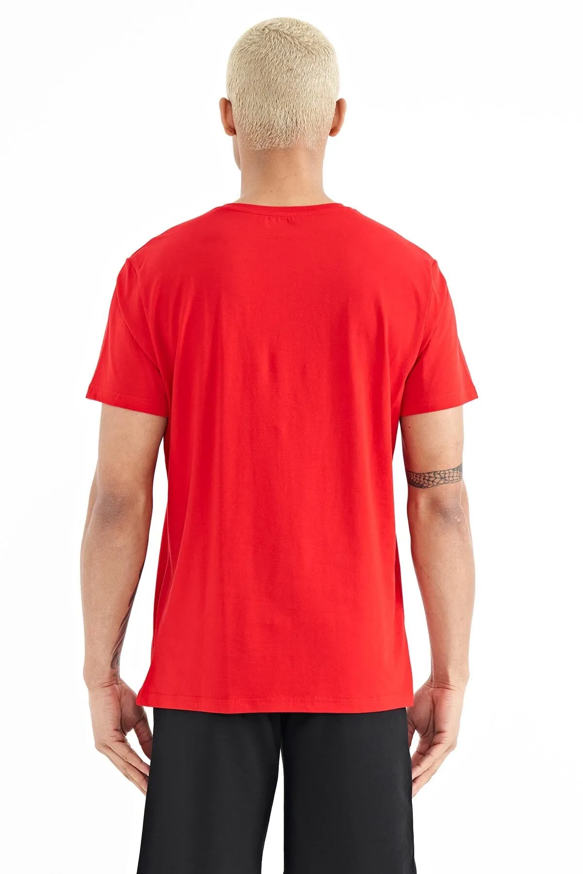 borisstandart kalip erkek t-shirt - 88206